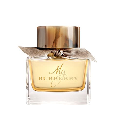 burberry best|most popular Burberry.